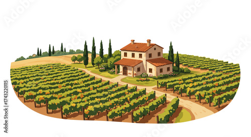 Idyllic Vineyard Estate Illustration with Cypress Trees and Lush Fields
