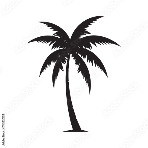  silhouette of palm trees