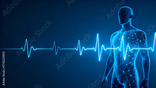 human heart beat