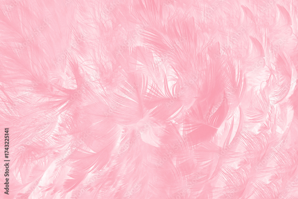 Fototapeta premium Beautiful abstract soft pink feather pattern texture background 