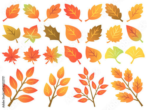 色々な秋の紅葉と枝のイラストセット