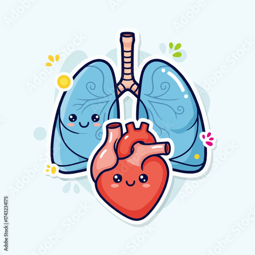 human lungs and heart, cute style for kids education