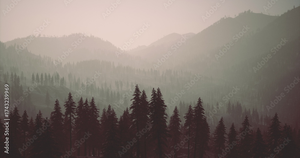 Obraz premium Mist blankets the mountains during dawn, creating a serene atmosphere. Evergreen trees stand tall in the foreground, enhancing the tranquil natural setting.