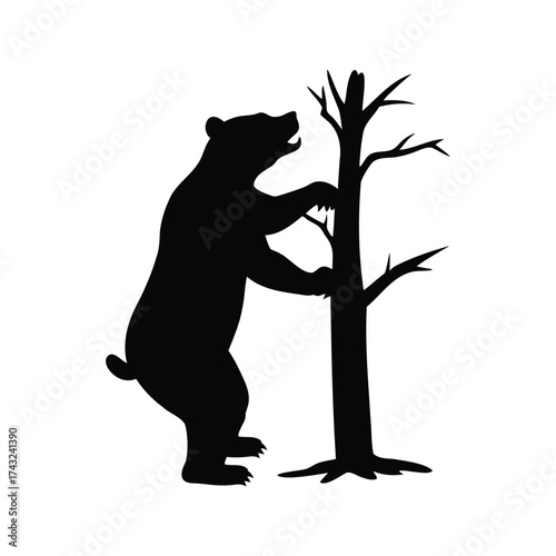 Silhouette of a powerful bear standing upright next to a barren tree, bear scratching back on tree silhouette vector illustration