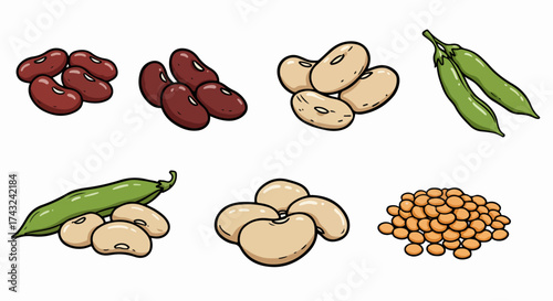 Variety of beans and legumes collection
