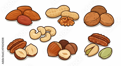 Assorted nuts collection with transparent background