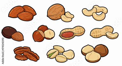 Assorted nuts collection with transparent background