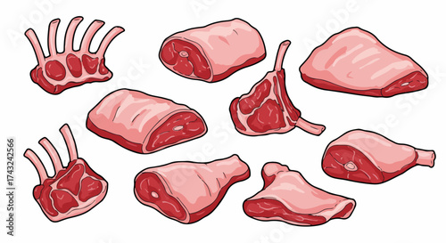 Raw meat cuts collection with transparent background