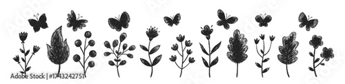 Set of  butterfly, leaves and spring flowers with crayon, pastel or chalk texture. Wildflowers and insects painted with pencil. Doodle black vector illustration isolated on a white background.