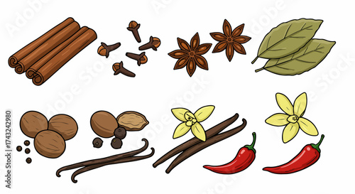 Assorted spices collection with transparent background