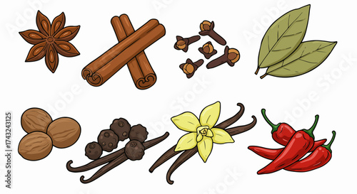 Assorted spices collection with transparent background