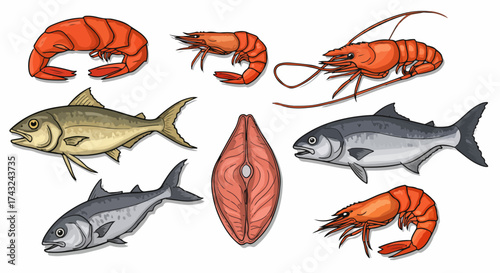 Seafood assortment with transparent background