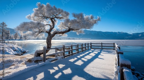 Winter landscape snowy tree pier