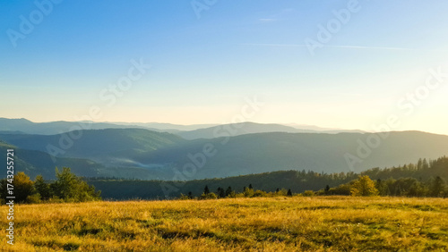 Fototapeta Naklejka Na Ścianę i Meble -  Meadow on a Blotnia Mountain. Beskides.
