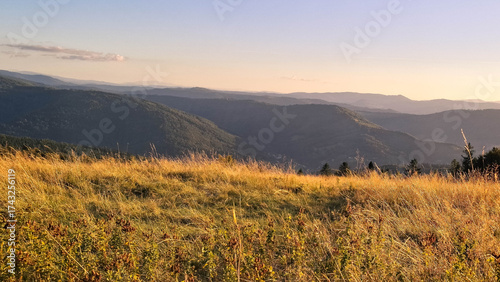 Fototapeta Naklejka Na Ścianę i Meble -  Meadow on a Blotnia Mountain. Beskides.