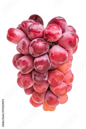 シャインマスカット　ぶどう　Shine Muscat and seasonal grapes 