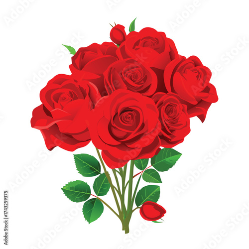 Vector illustration A bouquet of red roses with green leaves on a white background