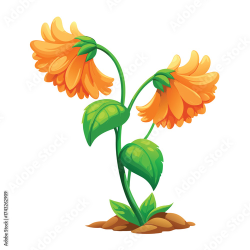 Vector illustration Two orange flowers with green leaves growing from brown soil