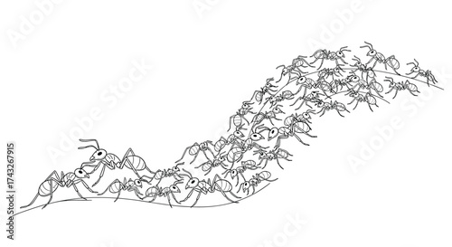 A line of ants marching in a formation.