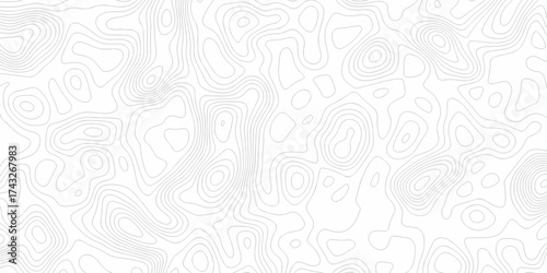 Minimal white line geometric grid outline curve counter map and wavy topography relief discovery area white, black line texture background.	