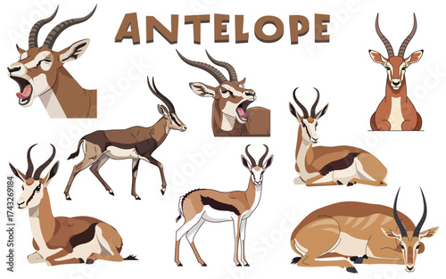 Antelope Poses Cartoon Illustration of Various Antelope Species in Different Positions.