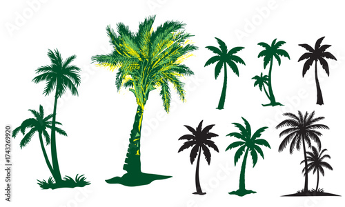 Palm tree silhouettes set – green and black palm tree shapes collection, isolated vector illustration