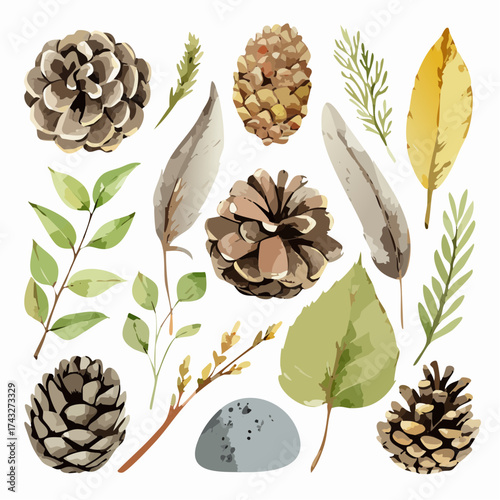 A collection of watercolor illustrations featuring pinecones, feathers, leaves, and a stone, evoking a natural, autumnal theme.