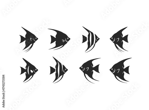 Collection of Angelfish Silhouettes.