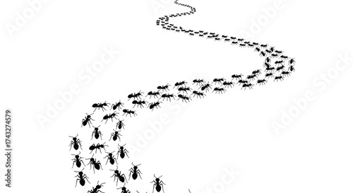 Ants marching in a line on a white background.
