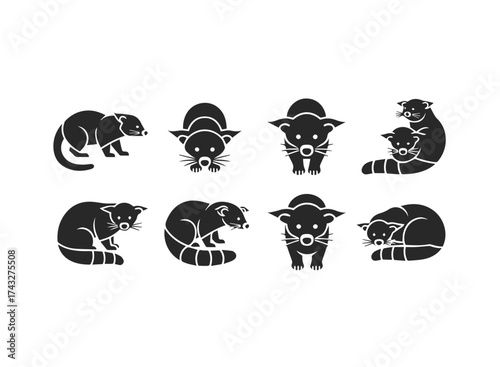 Collection of Stylized Raccoon Icons.