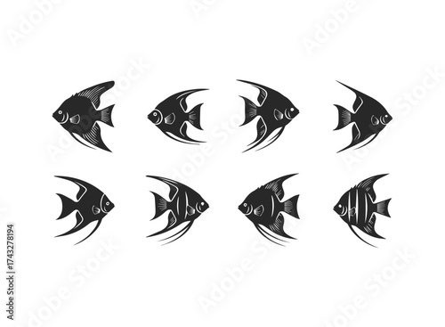 Set of Angelfish Silhouettes in Black and White.