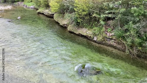 River Flow in Summer Forest, Natural Scenic Landscape