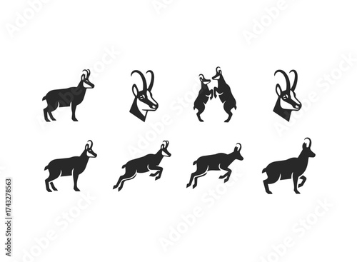 Silhouette Collection of Chamois Animal Icons.