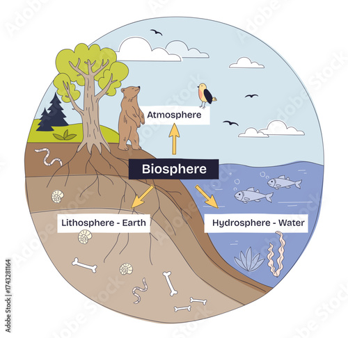 Earths biosphere brief diagram shows life interacting across atmosphere, hydrosphere, and lithosphere, tree, bear, and fish illustrate ecosystems. Doodle style diagram