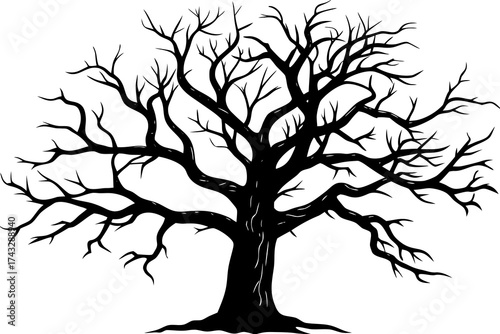 Black silhouette of a bare tree with intricate branches