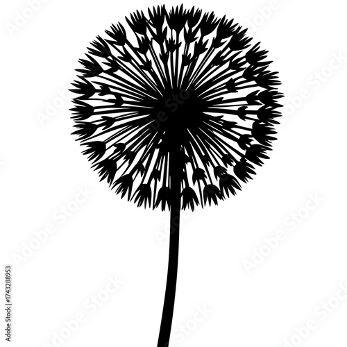 Black silhouette of a dandelion seed head on a white background