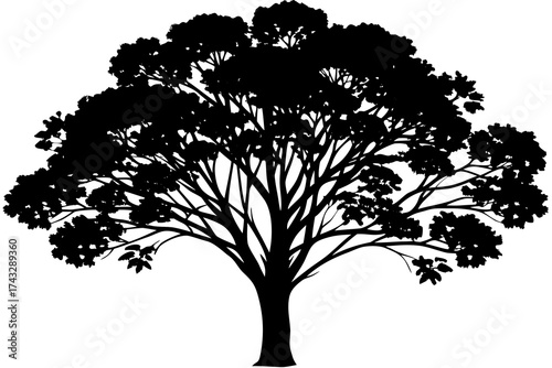 Black silhouette of a leafy tree with spreading branches