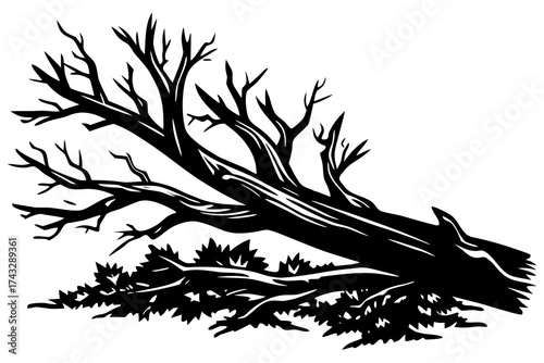 Black silhouette of a fallen tree with bare branches