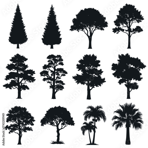 A collection of diverse tree silhouettes including conifers and deciduous varieties.