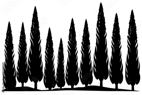 Black silhouette line of varied cypress trees black and white