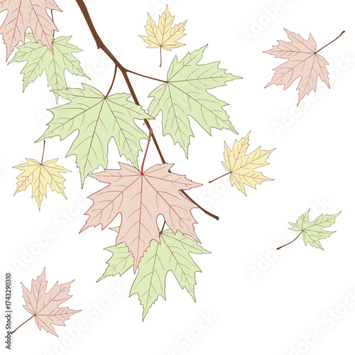 Beautiful autumn leaves gently falling from branches in soft pastel colors.