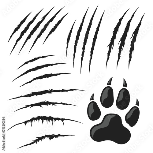 A collection of various realistic claw marks and a paw print.