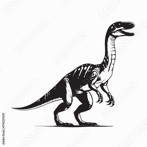 Coelophysis Dinosaur Vector Illustration isolated on white background
