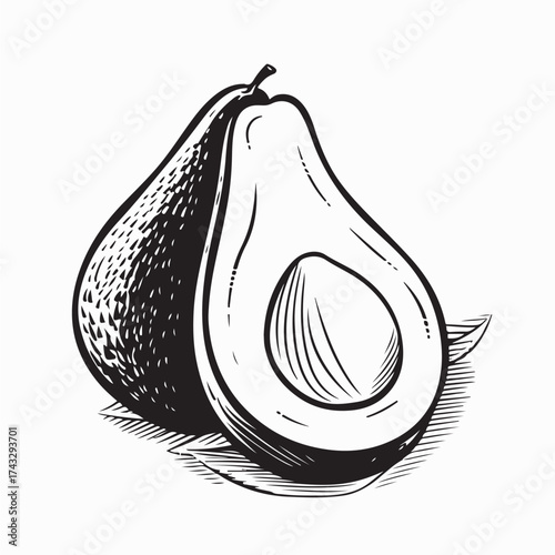 Avocado Silhouette Vector Illustration with White Background
