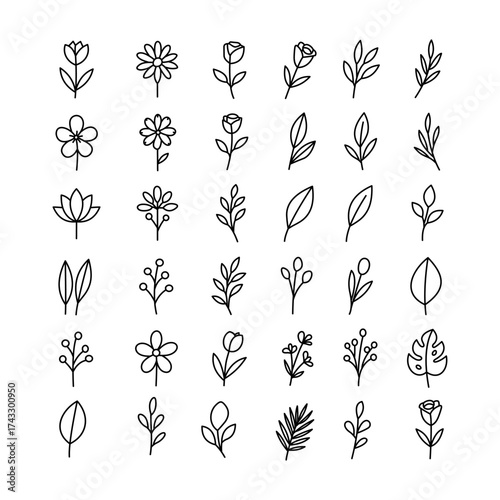 set of vector floral elements