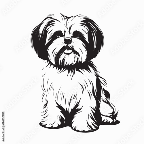 Cute Maltese Dog Portrait Vector in Black and White Minimalist Style