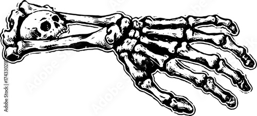 Skeleton hand with skull in vintage line art style. Detailed black and white vector illustration suitable for educational purposes.