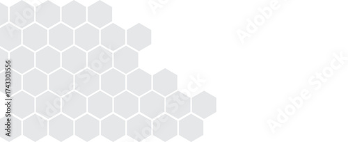 Dark gray and white horizontal hexagonal technology abstract vector background. Red bright energy flashes under the hexagon in a wide banner of futuristic modern technology.