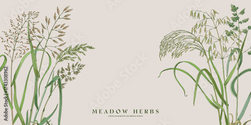 Horizontal banner with wild herbs