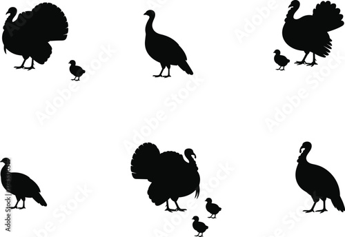 Turkey and chick silhouettes, black and white farm bird illustration, poultry family concept, wildlife agriculture design, educational animal husbandry artwork